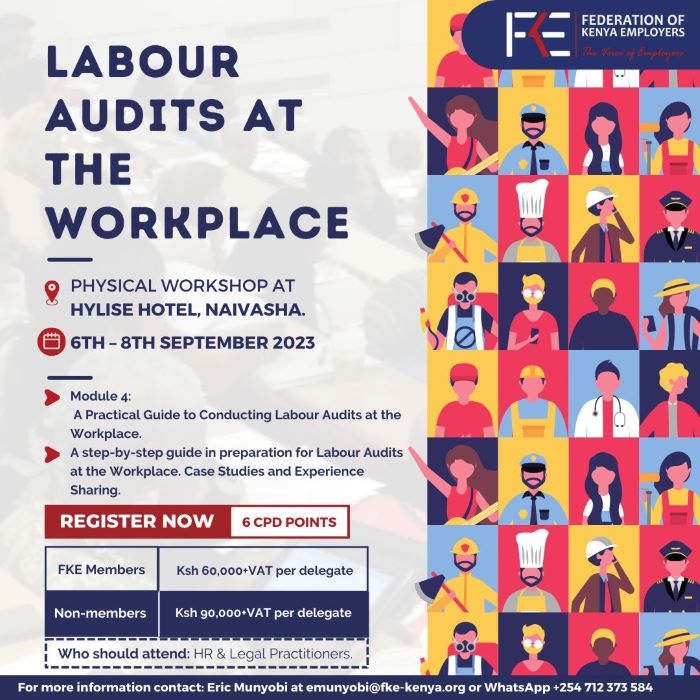 Labour Audits at the Workplace